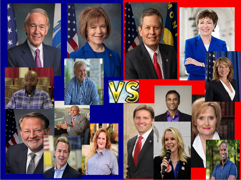 Pink Tsunami: The 2020 Senatorial Elections – Part Three