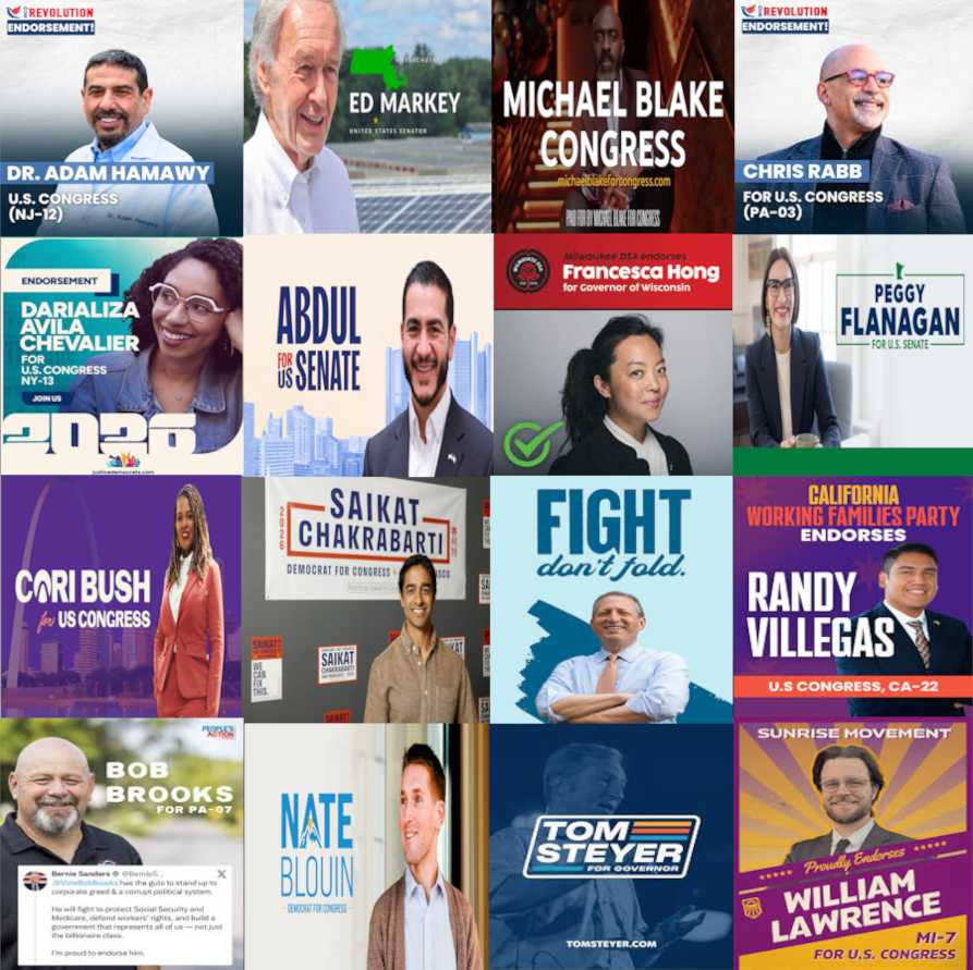 2026 primaries header image